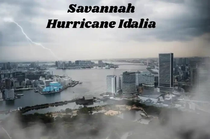 Savannah Hurricane Idalia